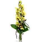 A selection of seasonal fresh cut flowers with the addition of attractive wrappi...