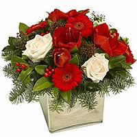 Amaryllis red and white roses, gerberas red, skimia a magnificent composition wi...