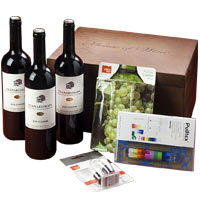 Handsome Triple Wine Collection with Wine Accessories