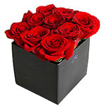 The Beautiful traditional of roses comes well pres......  to Thesprotias