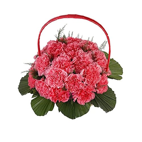 Perfect Carnation Present for Special Occasion