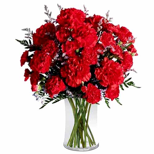Bouquet of Beautiful Red Carnation