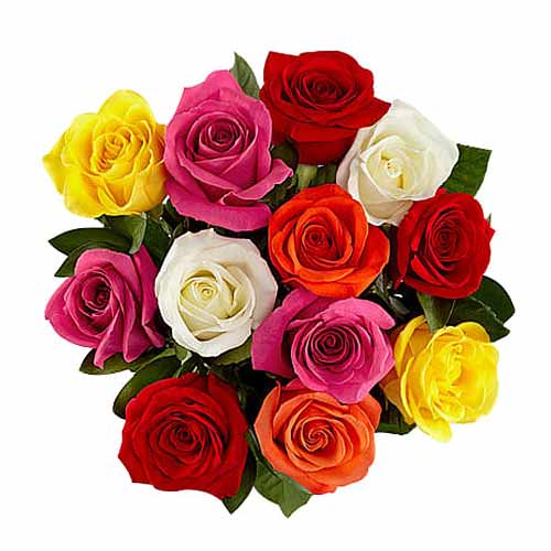 Eye-Catching Bouquet of 12 Mixed Roses