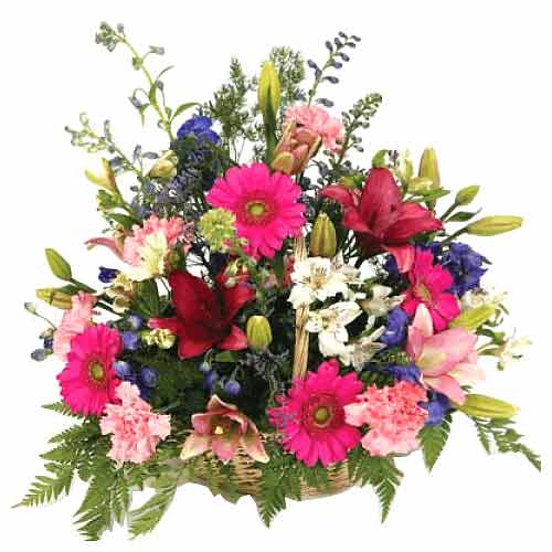 Graceful Mixed Flower Basket with Flourishing Beauty