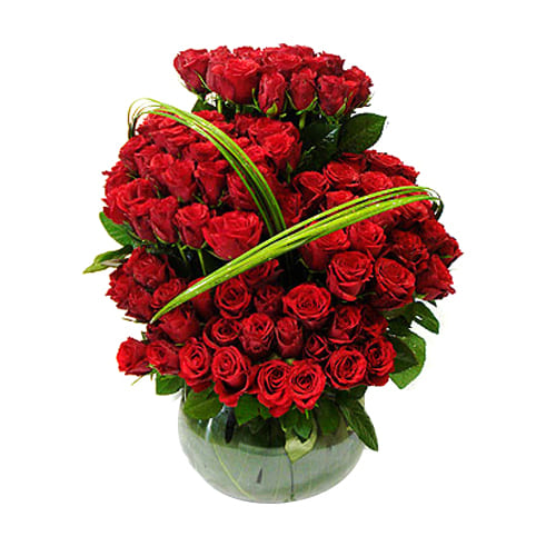 Romantic Arrangement of 100 Red Roses