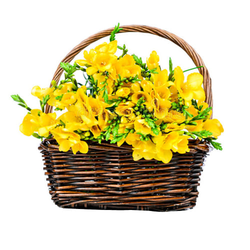 Attention-Getting Sweet Memories with Love Freesia Basket