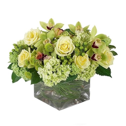 Silky-Smooth Yellow and Green Floral Arrangement with Best Wishes