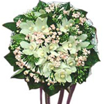 Enticing Wedding Orchid Bouquet 