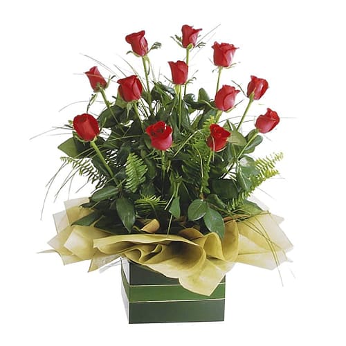 Elegant Gift Box of 12 Red Roses