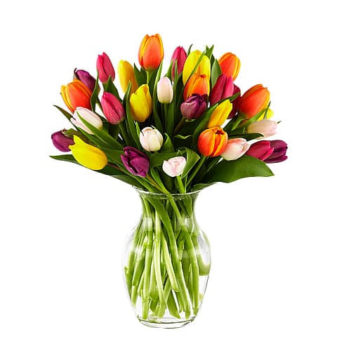 Romantic Celebrate the Moments Mixed Tulips Bouquet