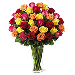 Bouquet of roses of multiple colours