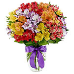 Bouquet of Peruvian lilies