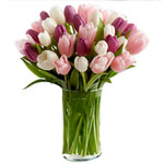 Bouquet of pink and red tulips