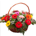 Basket of gerberas 