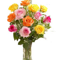 A beautiful bouquet of multi-coloured roses. Pink, red, yellow, white roses.
Sel...