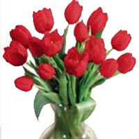 This gorgeous bouquet consisting of 15 fresh tulips will make her heart melt....