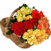 40 multicoloured roses to impress. Suitable as romantic gift, a gift for family ...