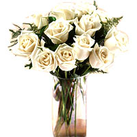 White roses are the ideal way to express purity, remembrance, sympathy and honor...