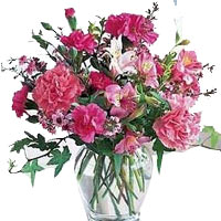 This sweet hand-tied bouquet of mixed carnations is suitable for any occasion: b...