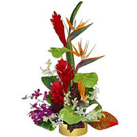This exotic selection of beautiful flowers will bring your special one to a trop...