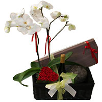 Charming Tear N Share Gift Basket