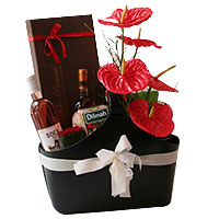 Enchanting Timeless Memories Gift Set