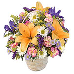 Freshness that will keep u fresh for a long time- this bouquet of seasonal flowe...