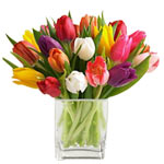 Mixed tulips bouquet to add the touch or brightnes...