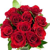 Striking 18 Red Roses Bouquet