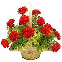 Classy 12 Carnations Basket / Vase