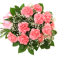 Impress someone with this Classy 12 Carnations Bou...