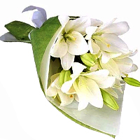 Classy 6 Oriental Lily Bouquet