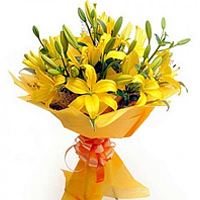 Be happy by sending this Exquisite 6 Asiatic Lily Bouquet to your dear ones and ...