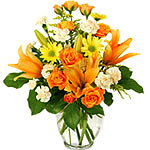 Drench your dear ones in your love by gifting them......  to Cirebon