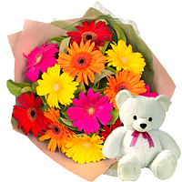 Wonderful 12 Gerberas Bouquet with 8 Teddy bear