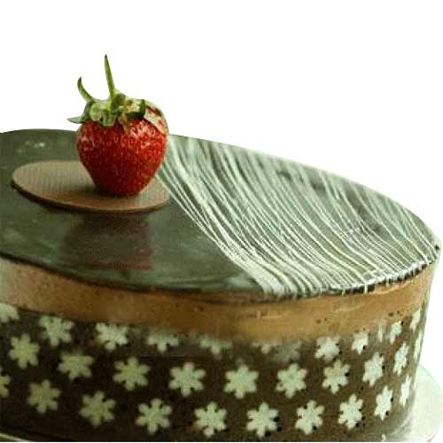 Appetizing Chocolate Caramel Cake