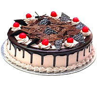 Send your love in the form of this Finest Black Forest Cake (20cm) to your dear ...