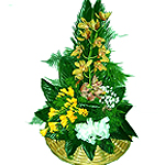 Basket - Orchid