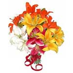 Colorful Bouquet of Lilies