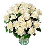 Two Dozen White Roses