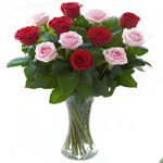 Elegant Pink and Red Rose Vase