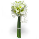 A bouquet of white hippeastrum tied together in pa...