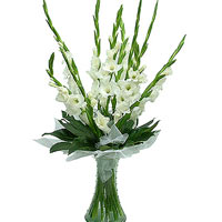 9 white Gladioluses

<br>The vase is not include...