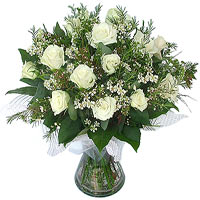 White Kiss<br>15 long stem white roses and greener...