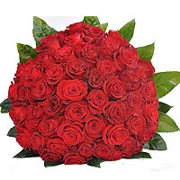 Beautiful bouquet made of of 60 large head red roses  and woven with a special r...