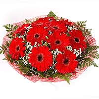 Red and white bouque made of 11 gerbera and white Gypsophila Between the flowers...