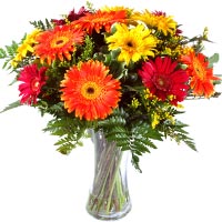 Bouquet made of simple and beautiful colorful Gerber, bouquet suitable for any o...