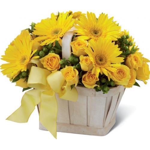 Charming Yellow Flower Collection