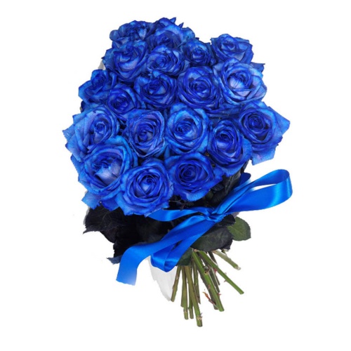 Blue Roses Statistic 25