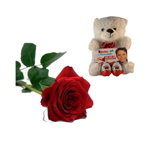 Rose With Teddy Bear Chocolate